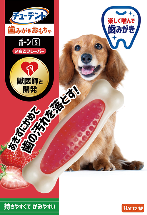 チューデント<br>歯みがきおもちゃ<br>ボーン S<br>いちごフレーバー