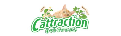 キャトラクション