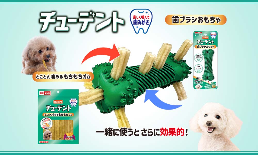 チューデント 歯みがきおもちゃ