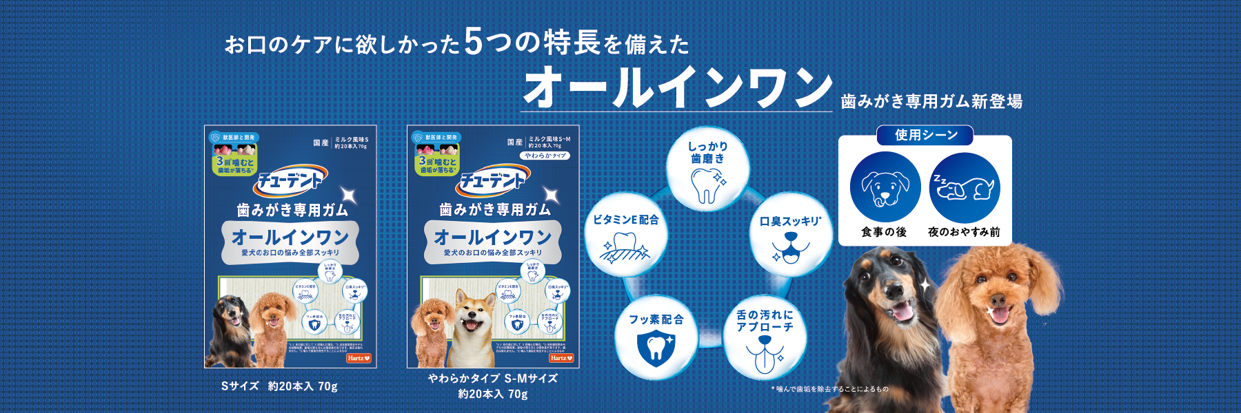 チューデント 歯みがき専用ガム オールインワン