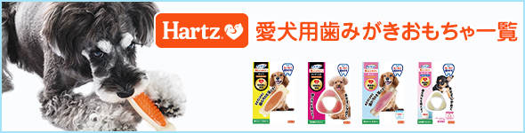 愛犬用デンタルトイ一覧