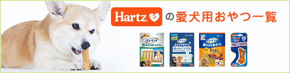 愛犬用おやつ一覧