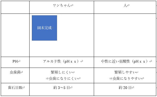 人とワンちゃんのお口の中の環境の違い図