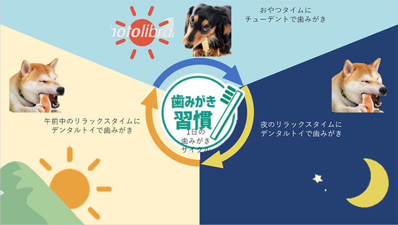 ワンちゃんの1日の歯みがきサイクル図